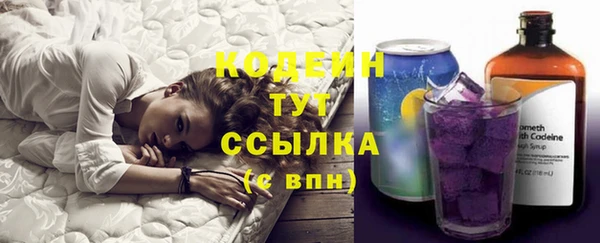 хмурый Горно-Алтайск