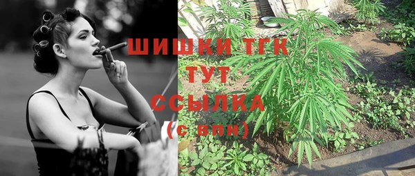 хмурый Горно-Алтайск