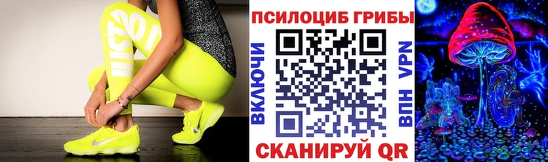 магазин    Дальнереченск  гидра онион  Псилоцибиновые грибы мухоморы 